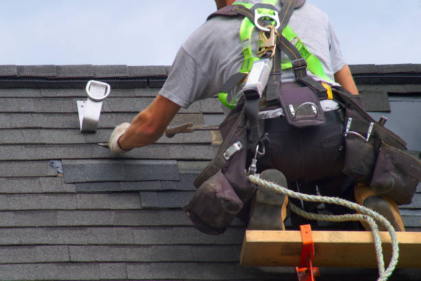 Best Shingle Roofing Installation  in Ripley, WV
