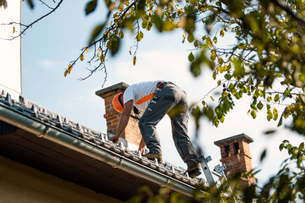 Best Roof Gutter Cleaning  in Ripley, WV