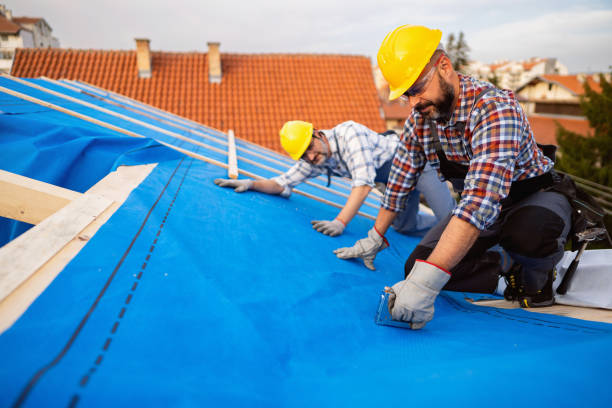 Roof Gutter Cleaning in Ripley, WV
