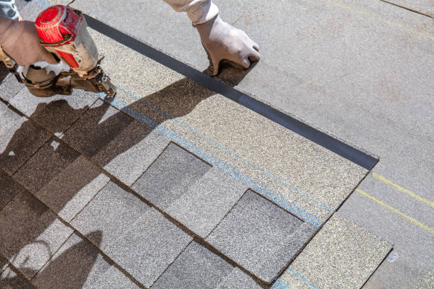 Best Best Roofing Contractors  in Ripley, WV